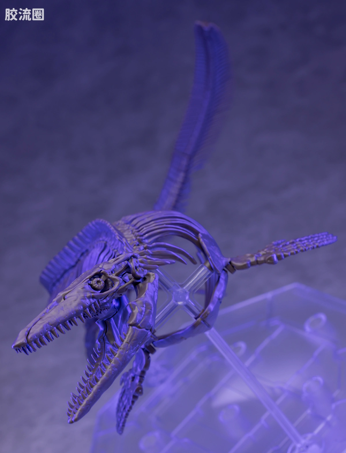 万代综合拼装模型系列 Imaginary Skeleton系列 沧龙 - 图片